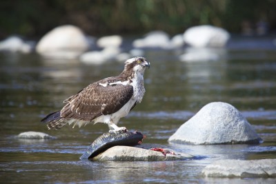 LA_River_Paddle_03