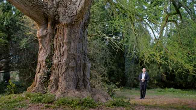 The Secret Life of Trees: Ildikó Enyedi’s 'Silent Friend'
