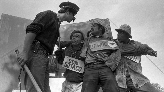 David Alvarado's 'American Pachuco' Pays Tribute to a Pioneering Director 3 David Alvarado's 'American Pachuco' Pays Tribute to a Pioneering Director